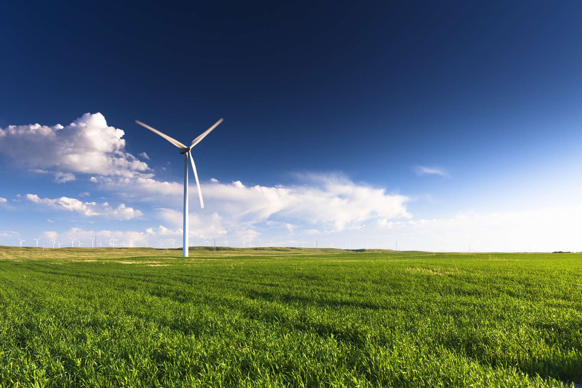 renewables-rethinking-your-business-bdo